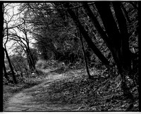 untitled-