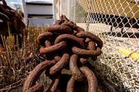 _DSC5521