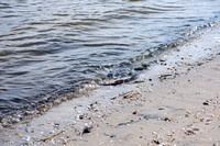 Somers Point , Bay Avenue walk.-5946